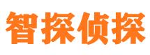 衡水外遇调查取证